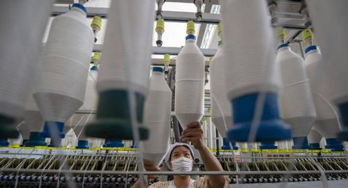 三重困境下的外貿工廠 接單、履約與收款之難，國內貿易轉型路在何方？